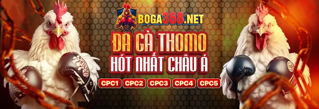 Các cấp độ VIP JDB